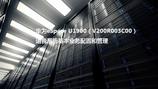 華為eSpace U1900（V200R003C00）語(yǔ)音系統(tǒng)基本業(yè)務(wù)配置